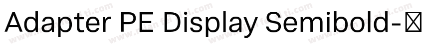 Adapter PE Display Semibold字体转换